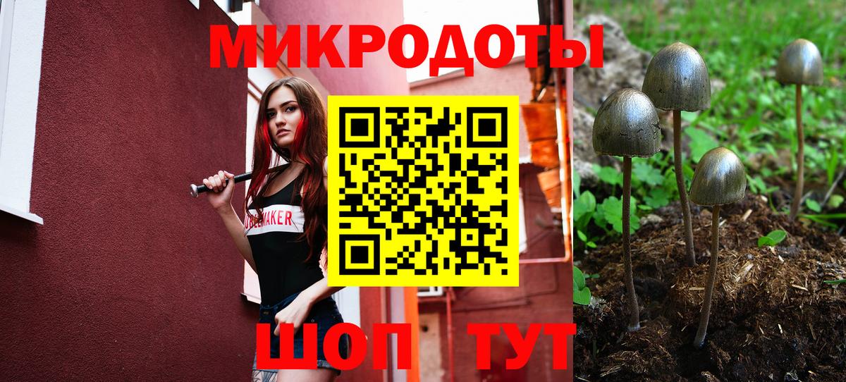 Псилоцибиновые грибы мицелий Россия