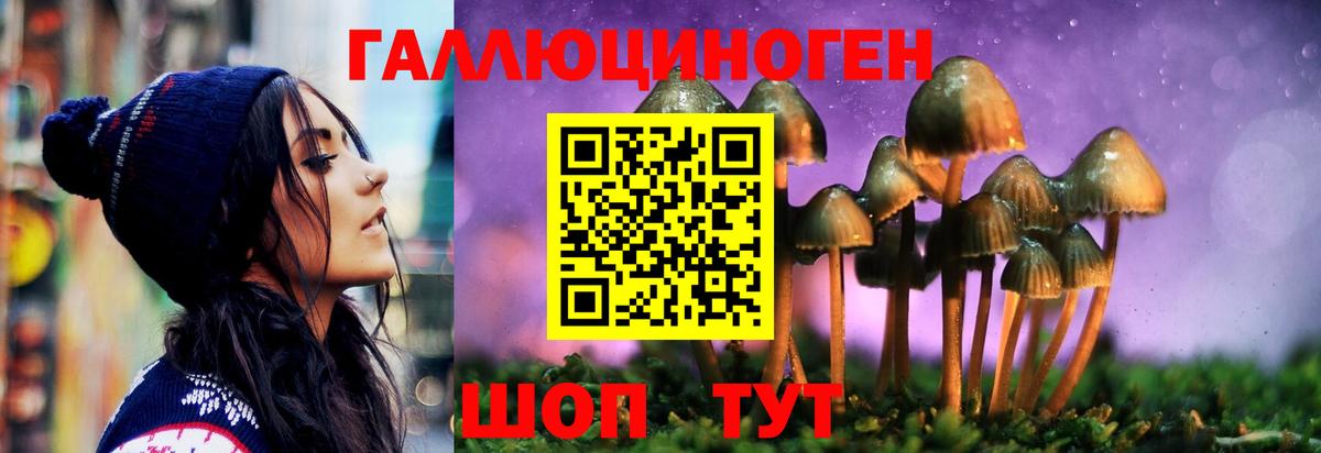как найти наркотики  Псилоцибиновые грибы прущие грибы  Вход с VPN  Галлюциногенные грибы MAGIC MUSHROOMS  Россия 